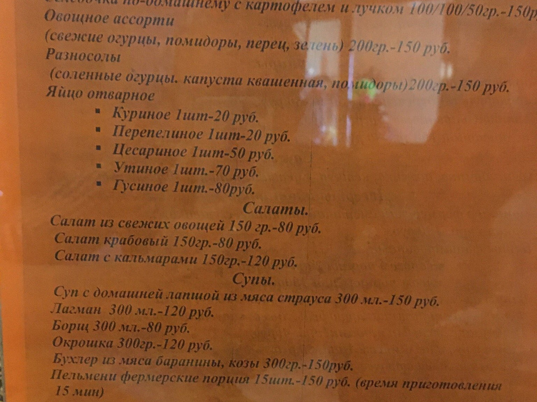 Ostrich Farm Straus Zabaikalya-赤塔必去景点