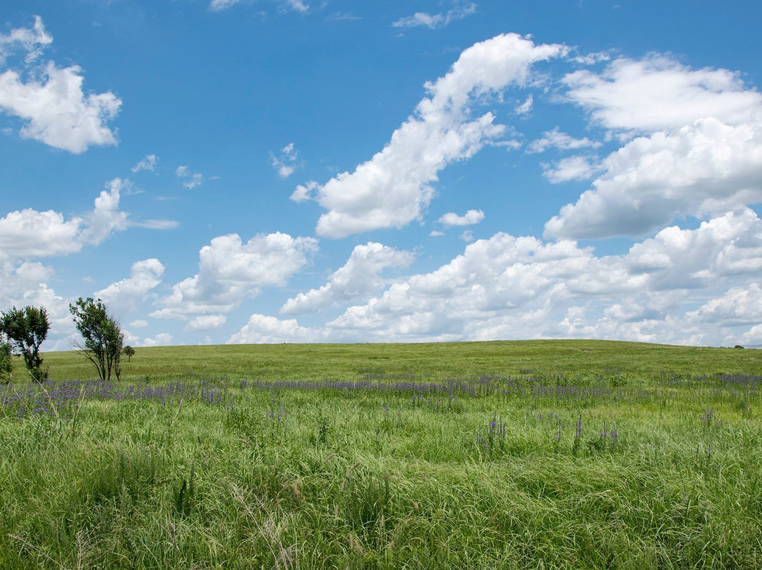Joseph H. Williams Tallgrass Prairie Preserve-Pawhuska必去景点
