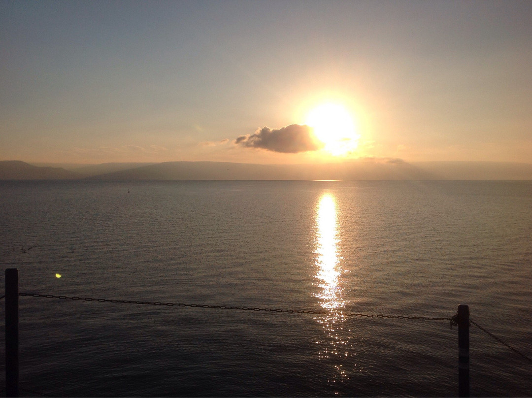 Nitzan Travel Service-Gedera必去景点