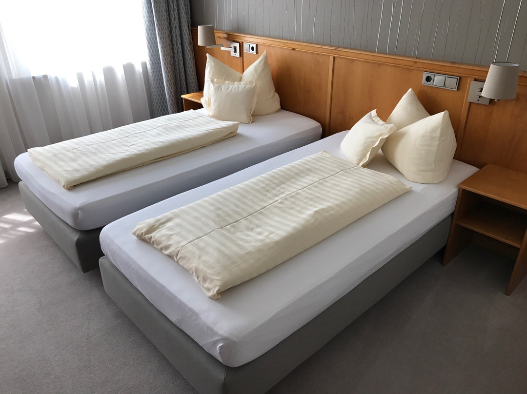 Hotel Alter Wirt主图