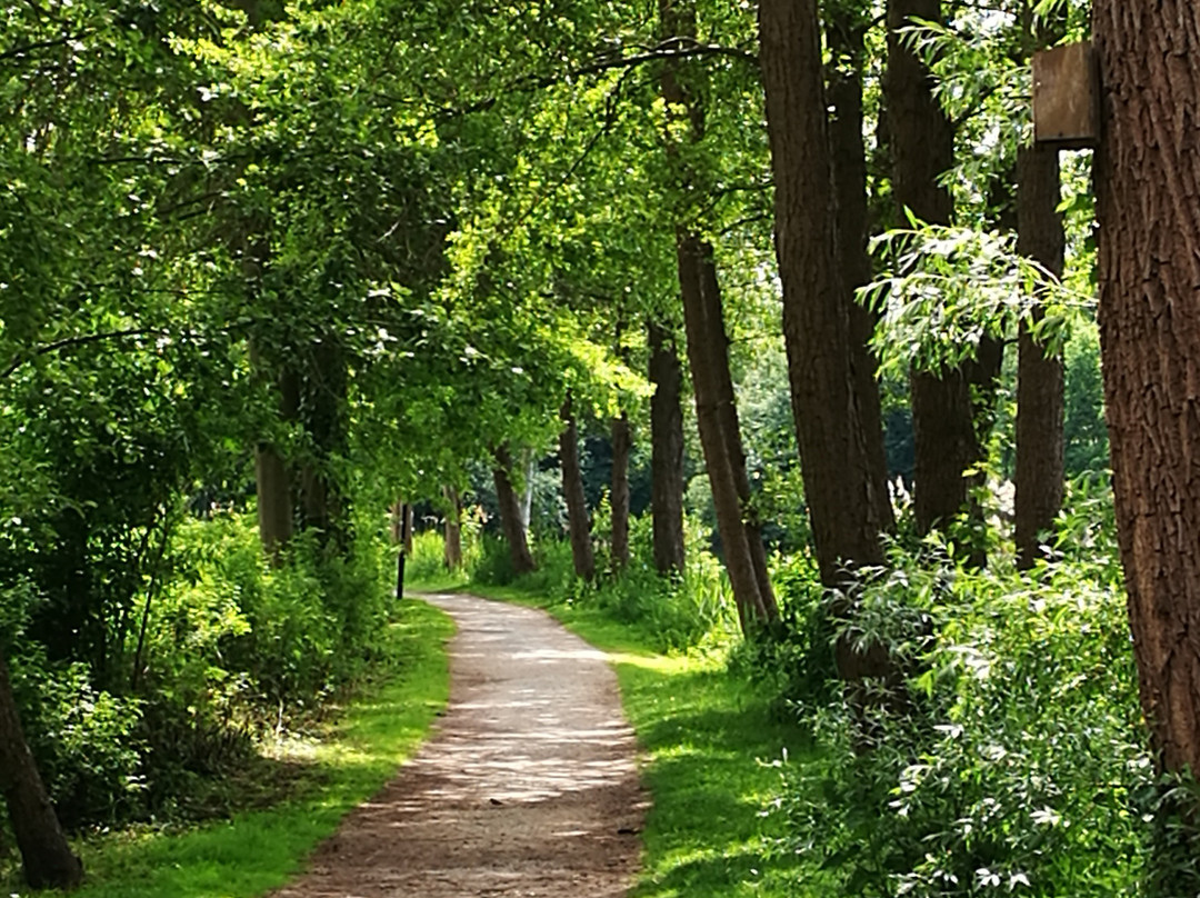 Kurpark am See-Bad Bodenteich必去景点
