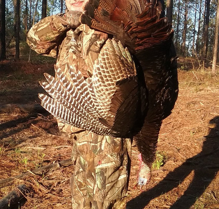 Gray Ghost Plantation-Mauk必去景点