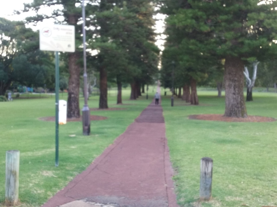 Mueller Park景点图片