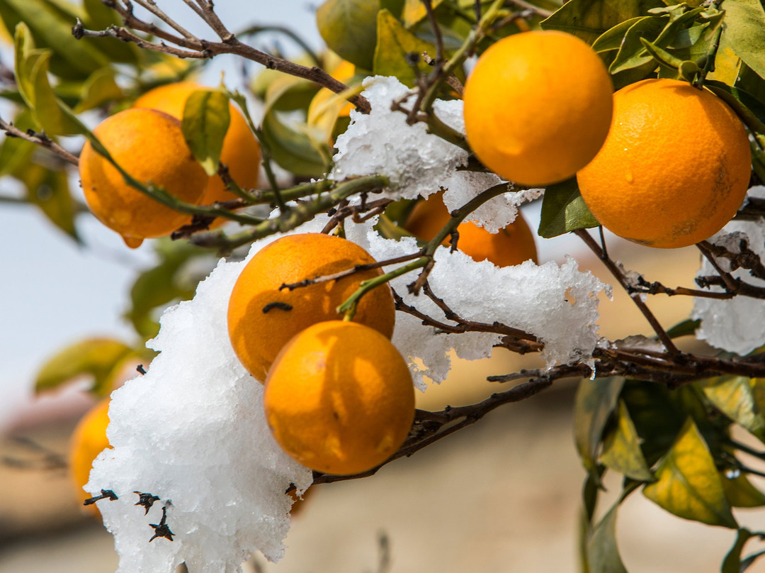 Parcent酒店住宿-Casa Rosa
