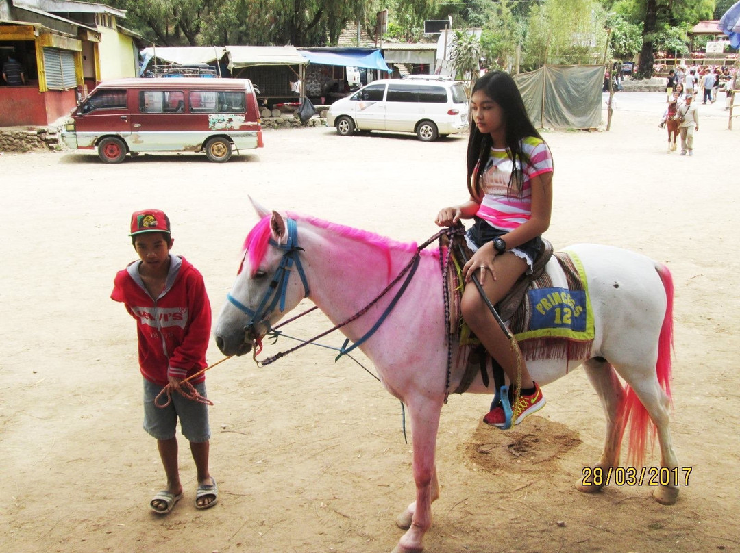 Riding Stable at Wright Park-碧瑶必去景点