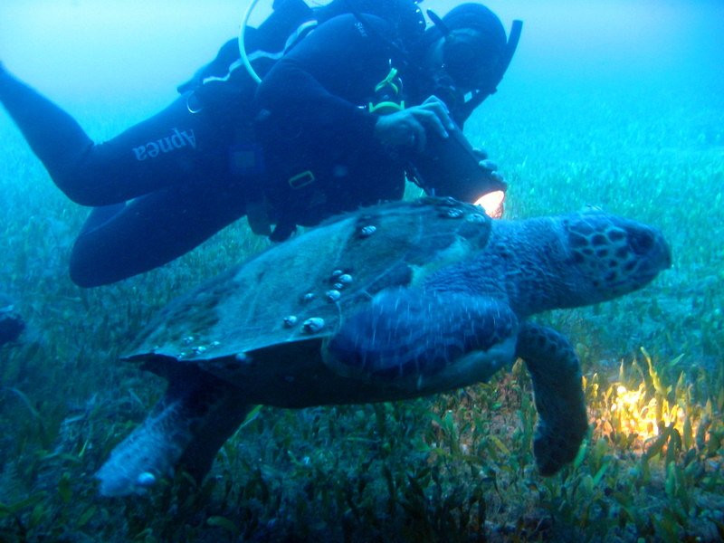 Naxos Diving-纳克索斯岛必去景点