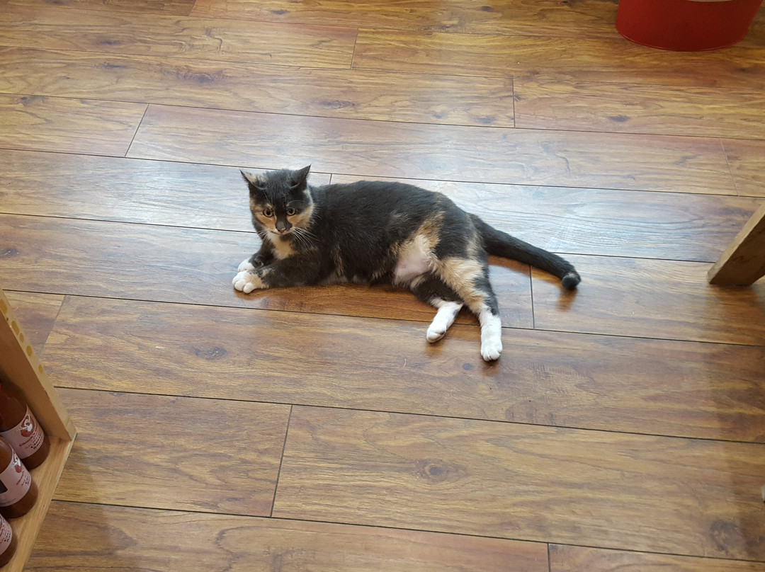 Honey Hole-West Jefferson必去景点