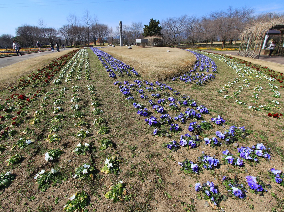 Suzuka Flower Park-铃鹿市必去景点