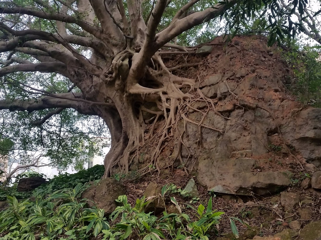 汕头南澳宋井-南澳县必去景点