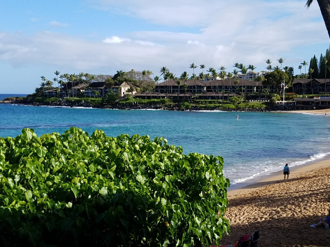 The Napili Bay