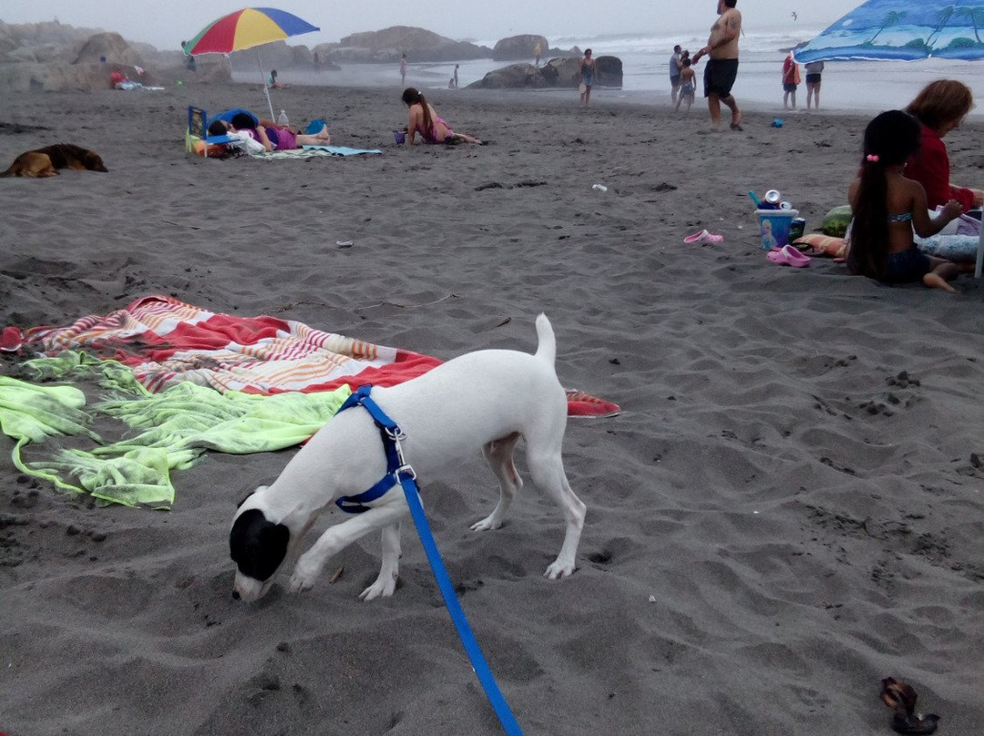 Playa Norte-Santo Domingo必去景点