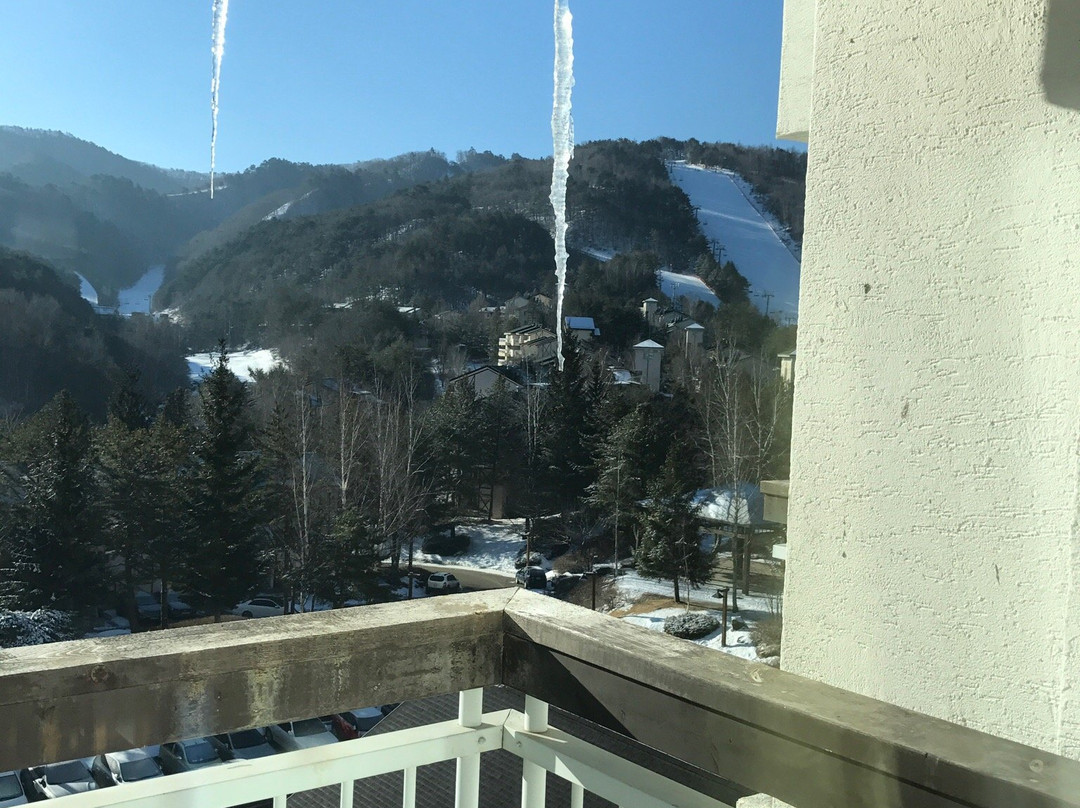 Mona Yongpyong Ski Resort景点图片