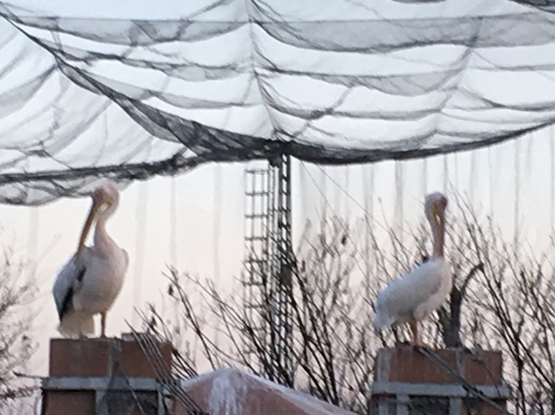 Bird Aviary-伊斯兰堡必去景点