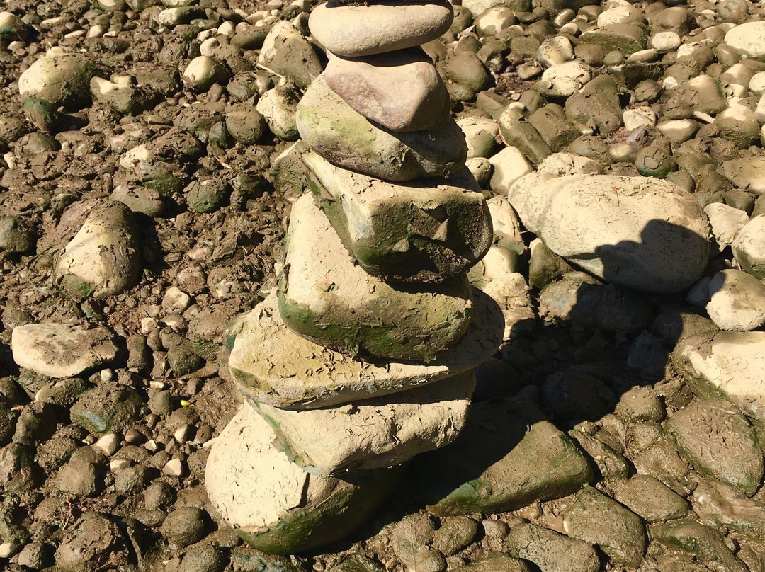 Dutch Gap Conservation Area-Chester必去景点