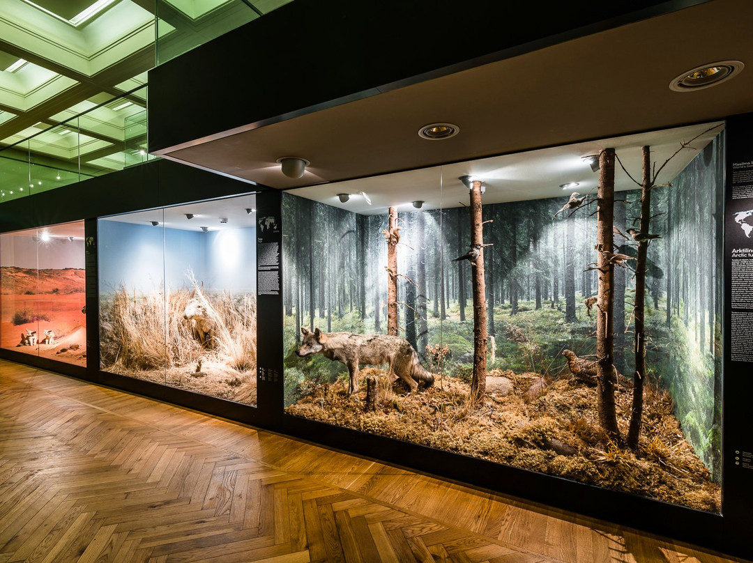 University of Tartu Natural History Museum-塔尔图必去景点