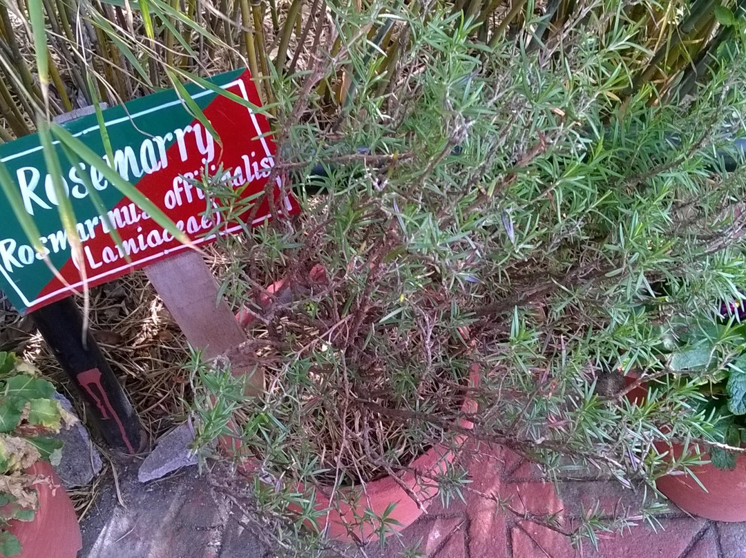 Himalayan Botanical Garden景点图片