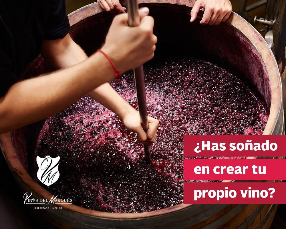 Vinos del Marques景点图片