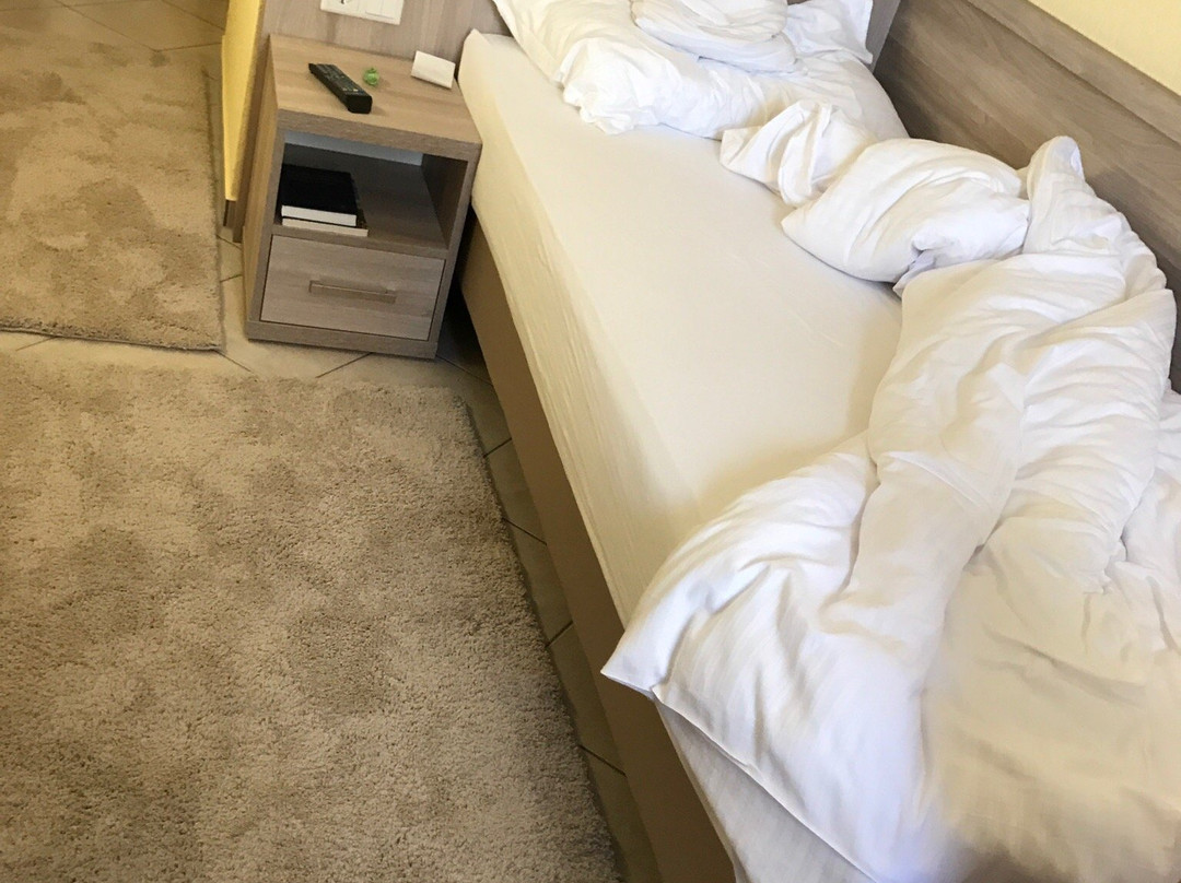 Hotel Wendelstein主图