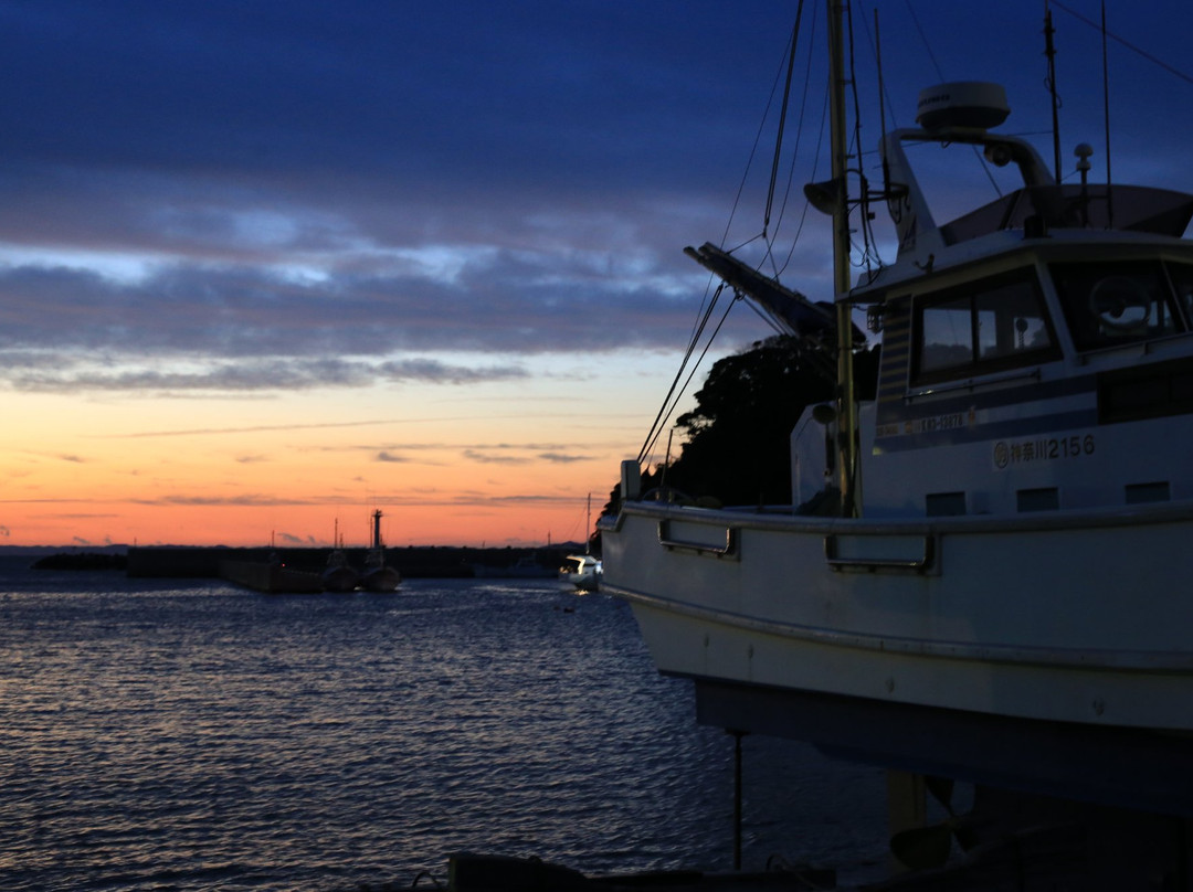 Makuchi Port-三浦市必去景点