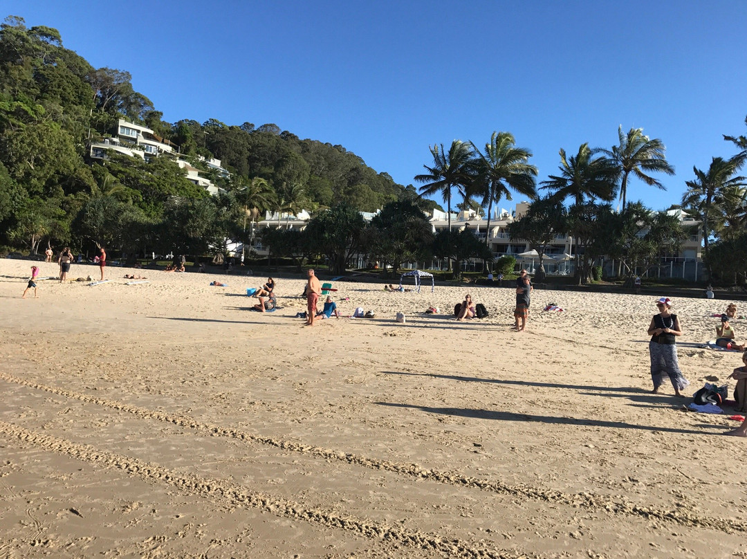 Noosa Visitor Information Centre景点图片