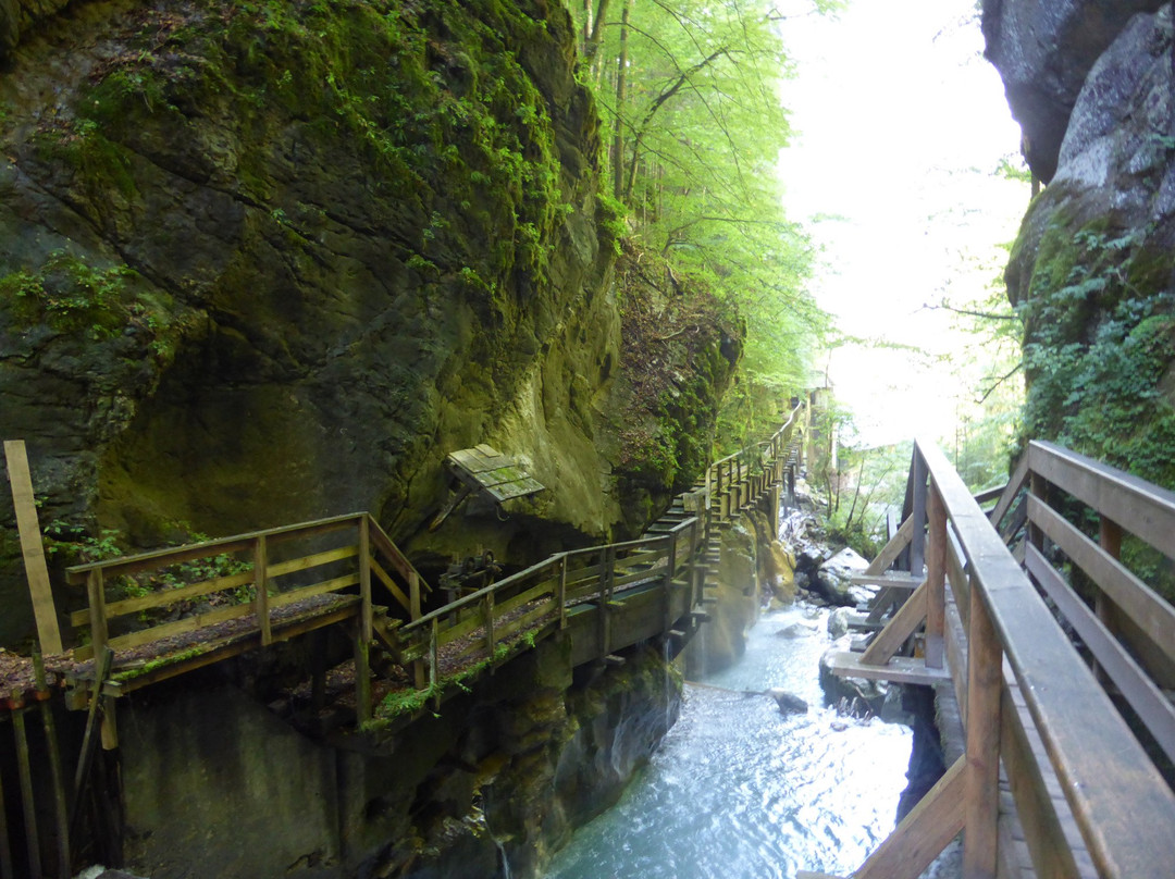 Naturdenkmal Seisenbergklamm-Weissbach bei Lofer必去景点