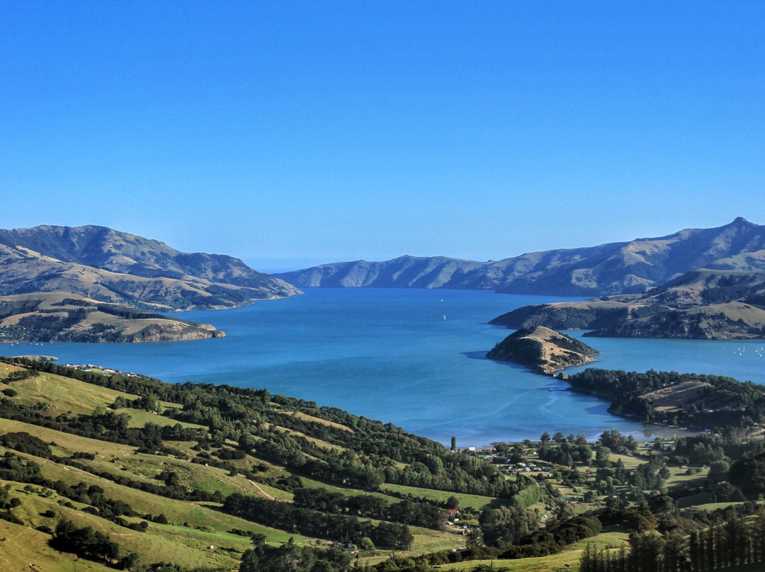 Hinewai Reserve景点图片