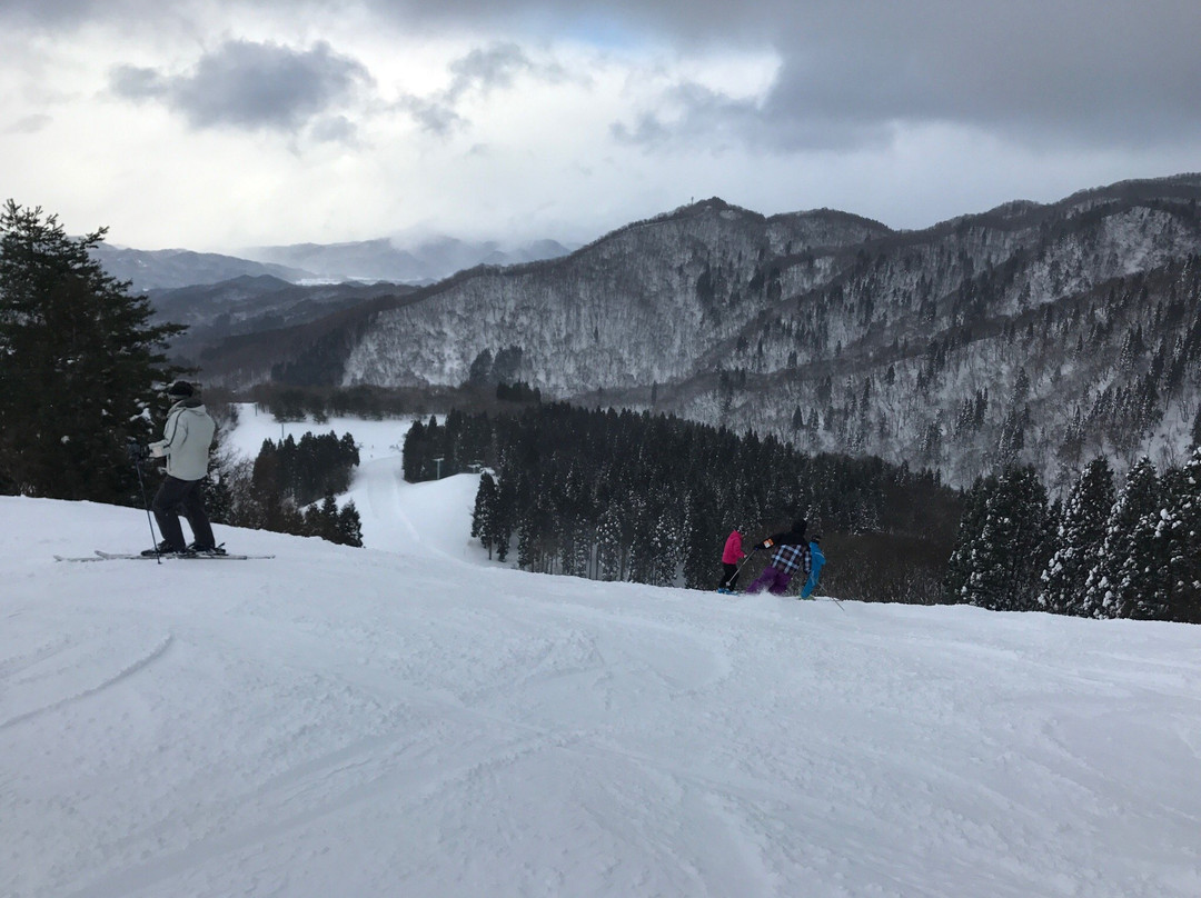 Okukannabe Ski Area-丰冈市必去景点