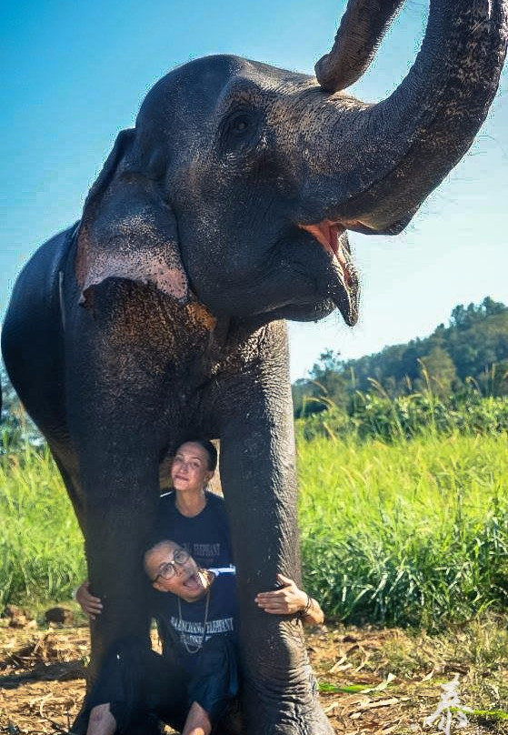 Baanchang Elephant's Paradise-夜登必去景点