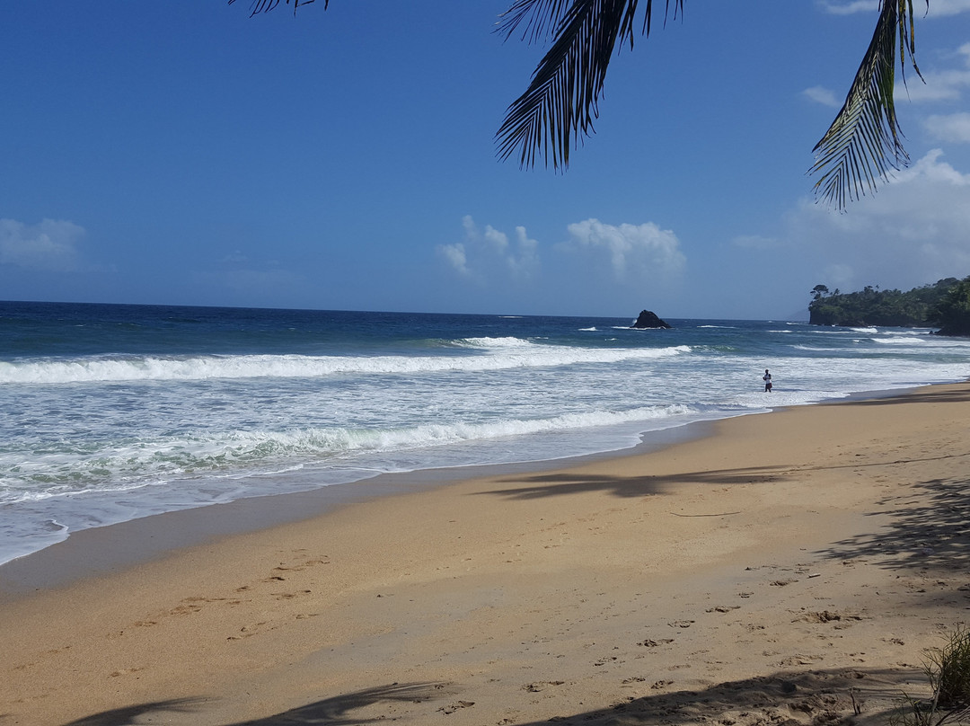 Blanchisseuse Beach-Blanchisseuse必去景点