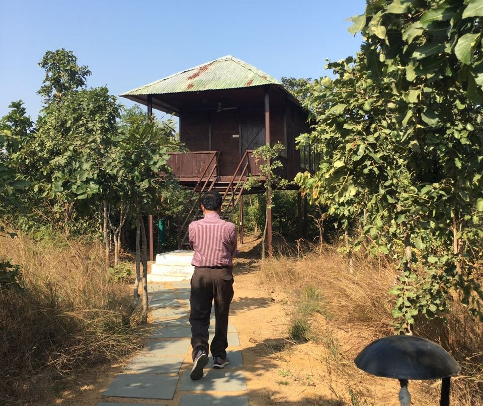 Barnawapara Wildlife Sanctuary景点图片
