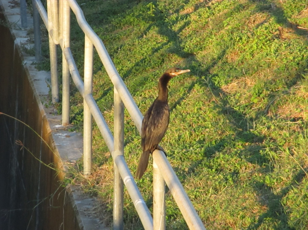 朴根佑-圣安东尼奥市必去景点