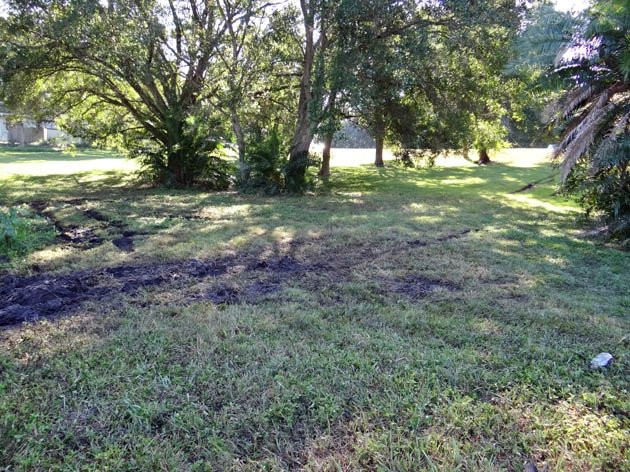 Doggie Days Dog Park-克利尔沃特必去景点