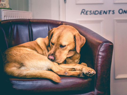 The Golden Cross Inn-赛伦塞斯特必去景点