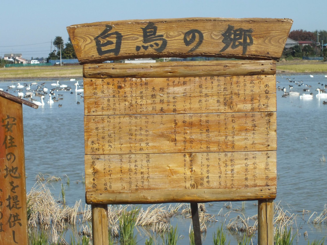 Hakuchonosato-印西市必去景点