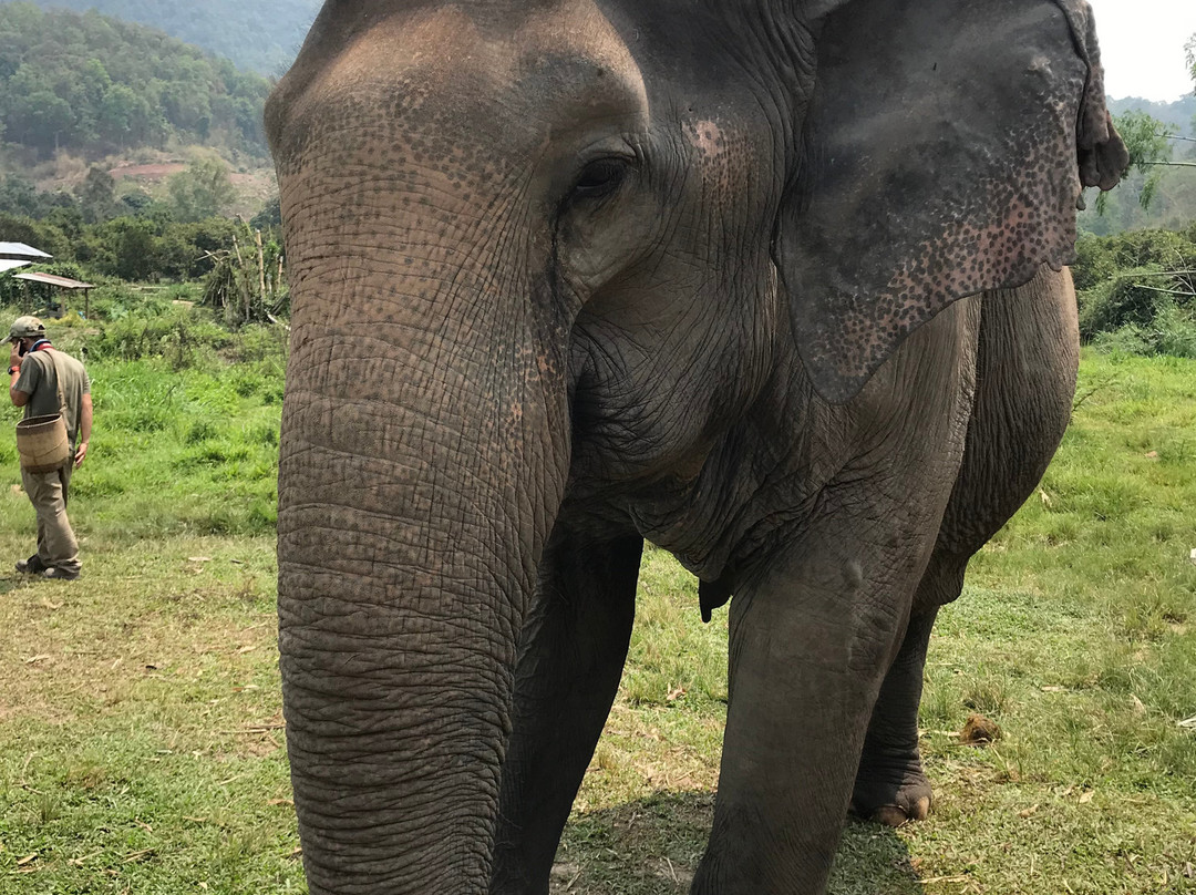 Karen Elephant Family-沙蒙必去景点