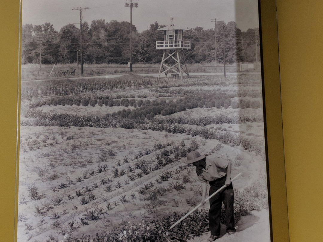 WWII Japanese American Internment Museum-McGehee必去景点