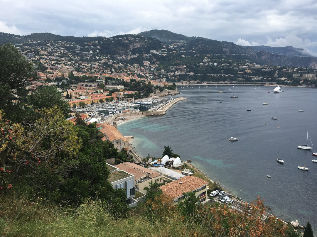 Memorial Princesse de Monaco-滨海自由城必去景点