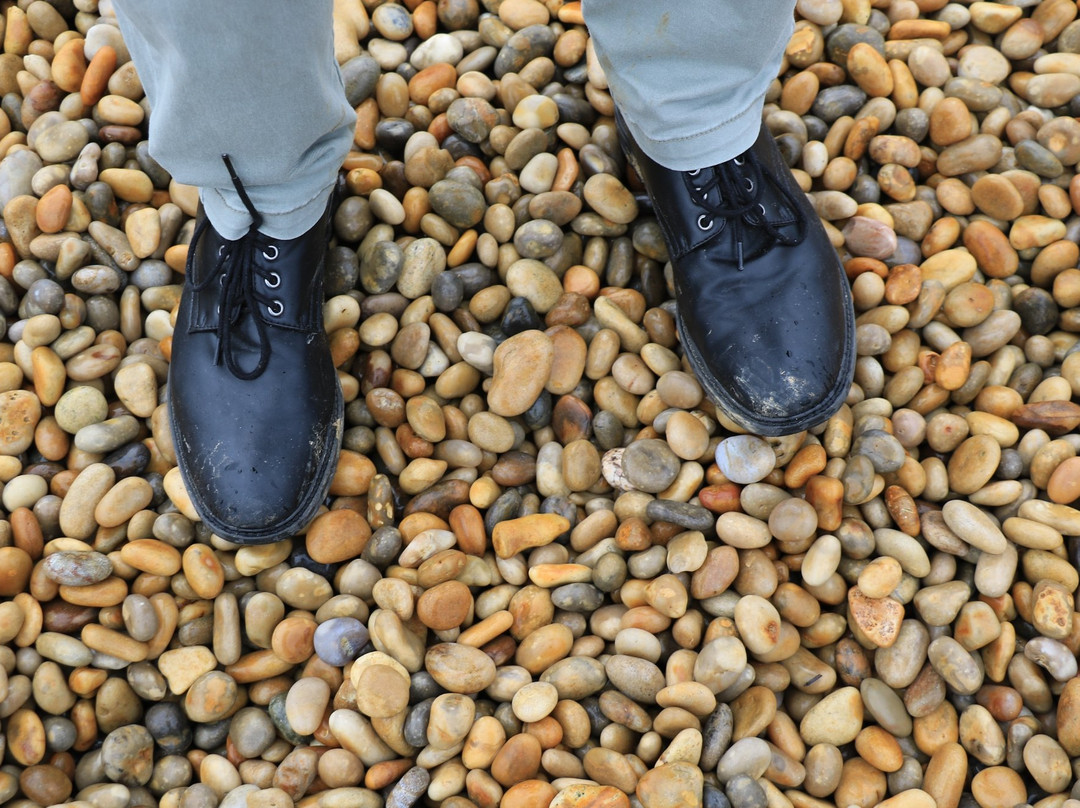 Portland Pebble Bed & Breakfast主图