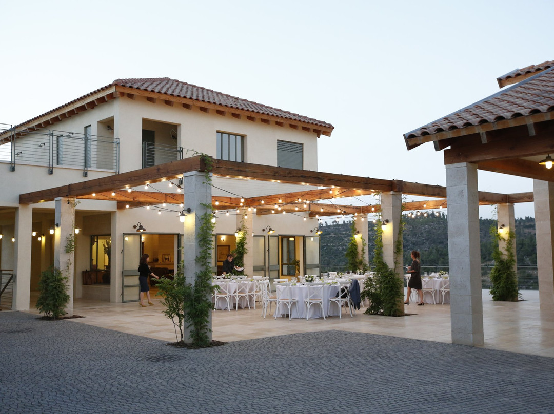 Jerusalem District旅游景点-Domaine du Castel Winery