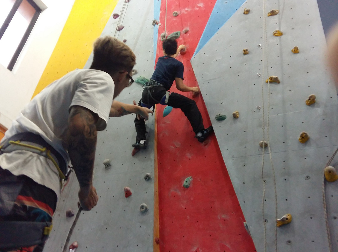 Peak To Peak Indoor Climbing-塞尔彭必去景点