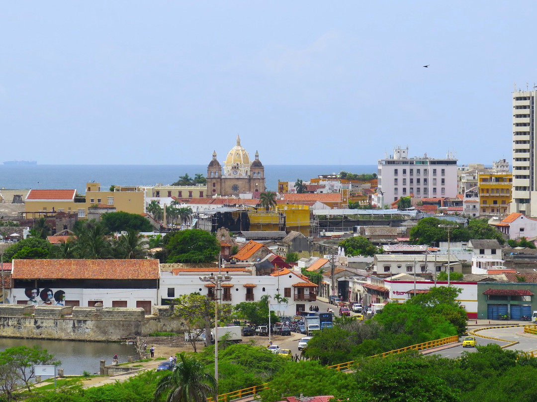 Scarlet Macaw Trips-卡塔赫纳必去景点