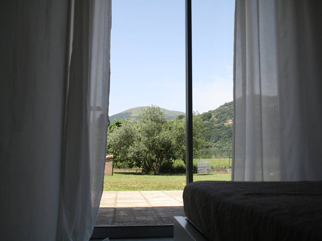 B&B Verde Vivo主图