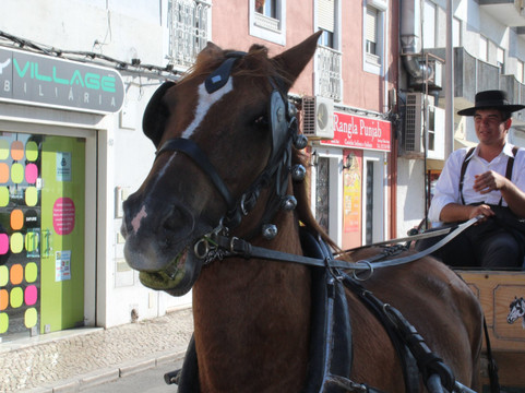 VisitSul-蒙蒂茹必去景点