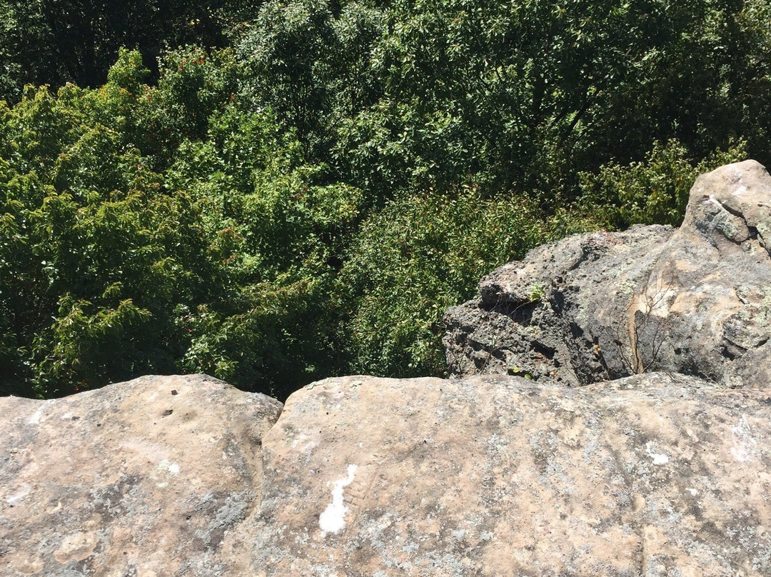 Carrington Rock-Morehead必去景点