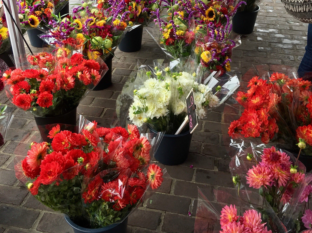 Alexandria Farmers Market (Old Town Farmer's Market)-亚历山德里亚必去景点