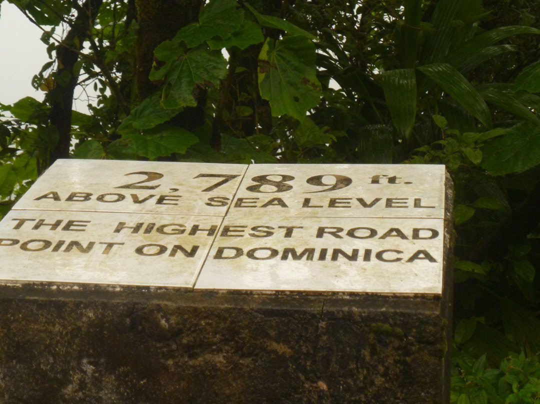 Freshwater Lake-Morne Trois Pitons National Park必去景点