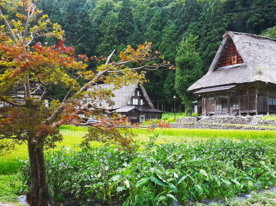 相仓合掌屋-南砺市必去景点