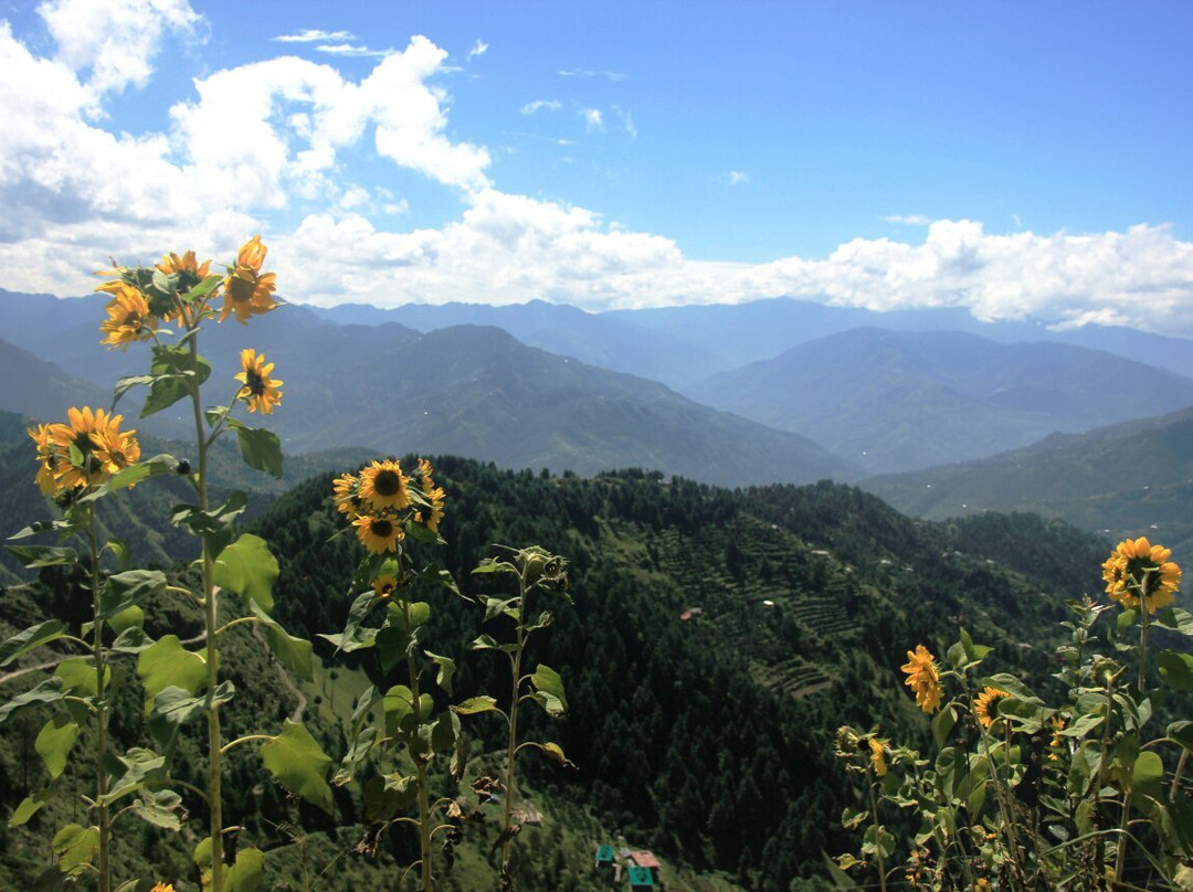 L R Heights Homestay主图