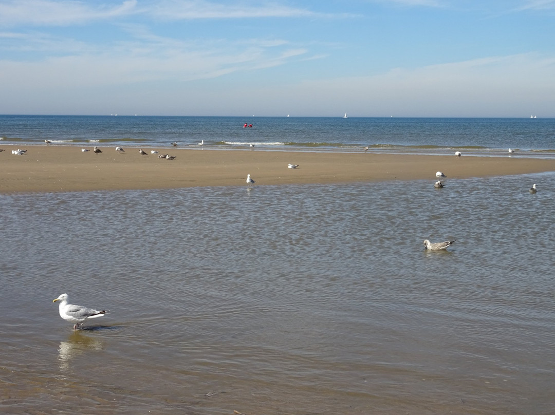 Langevelderslag Beach-诺德韦克必去景点