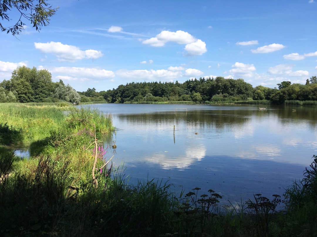 Warnham Local Nature Reserve景点图片